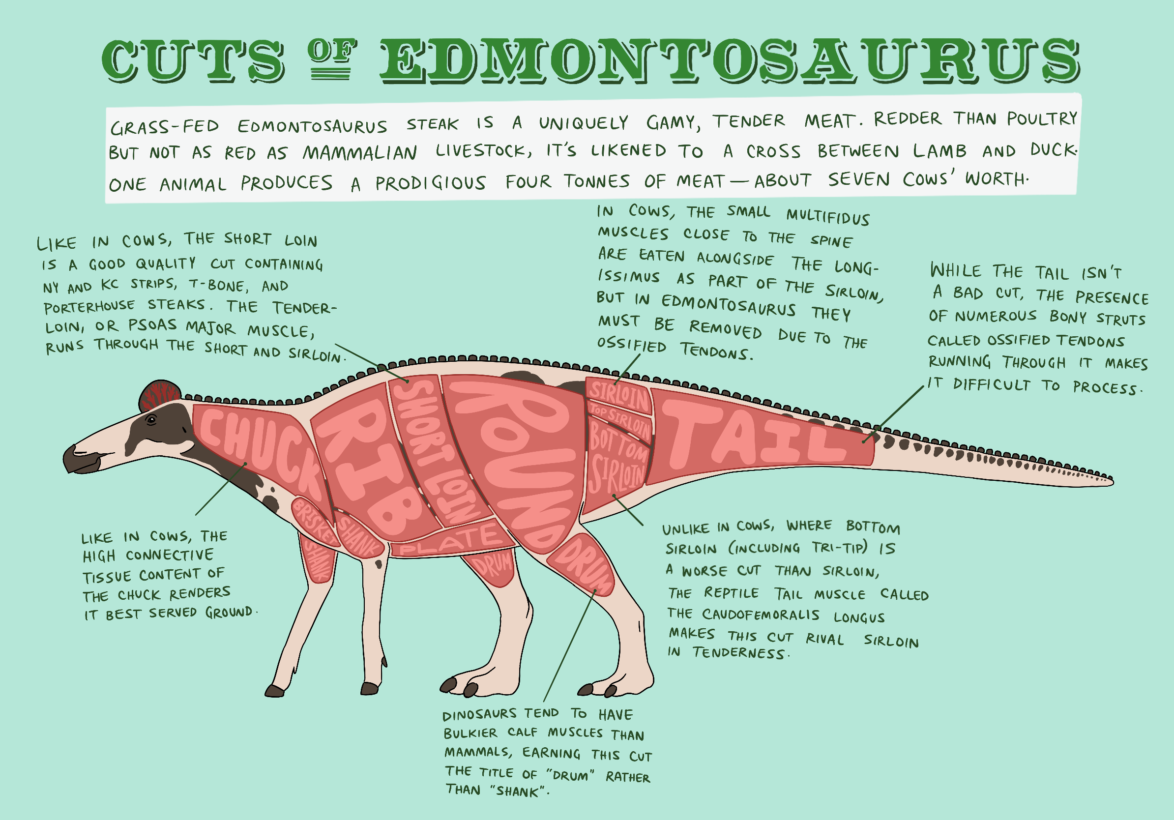 Edmontosaurus Cuts