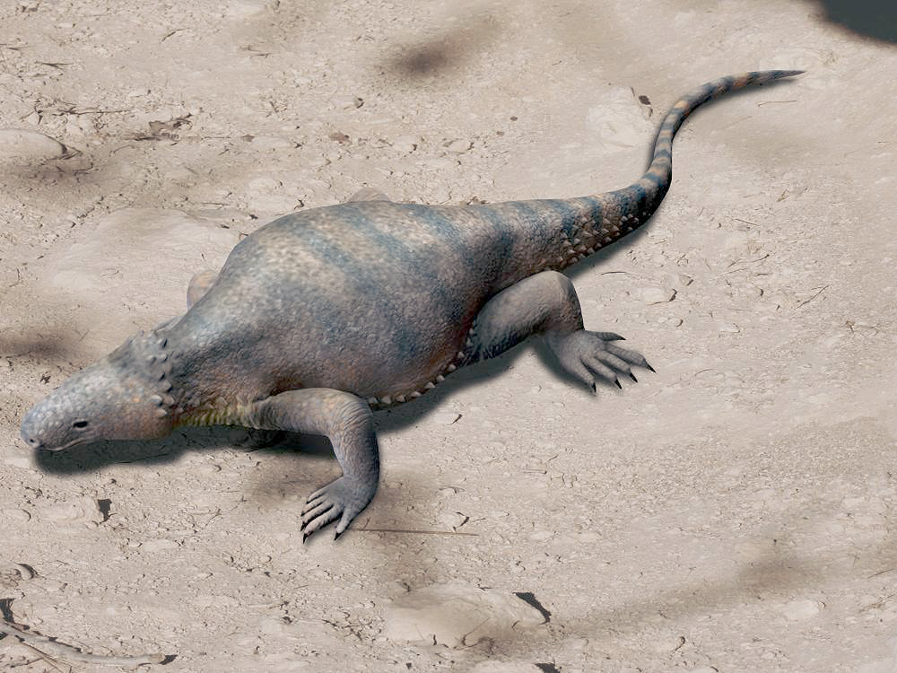 eunotosaurus
