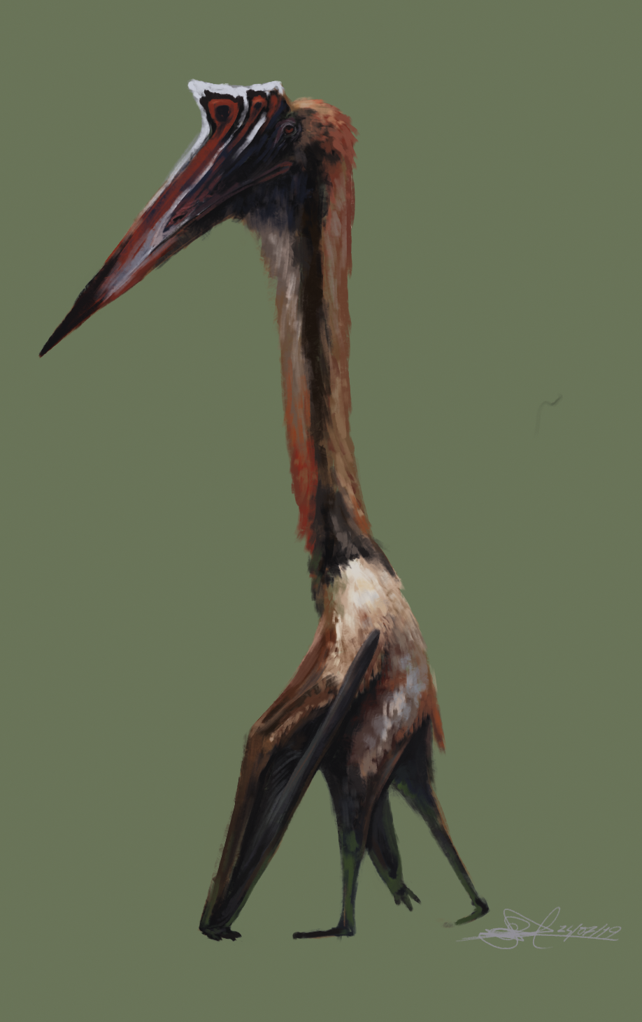 pterosaur-10
