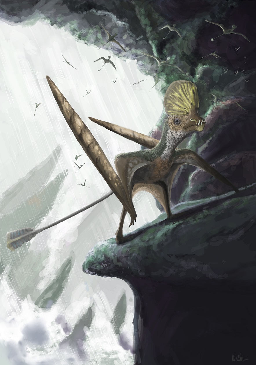 pterosaur-2