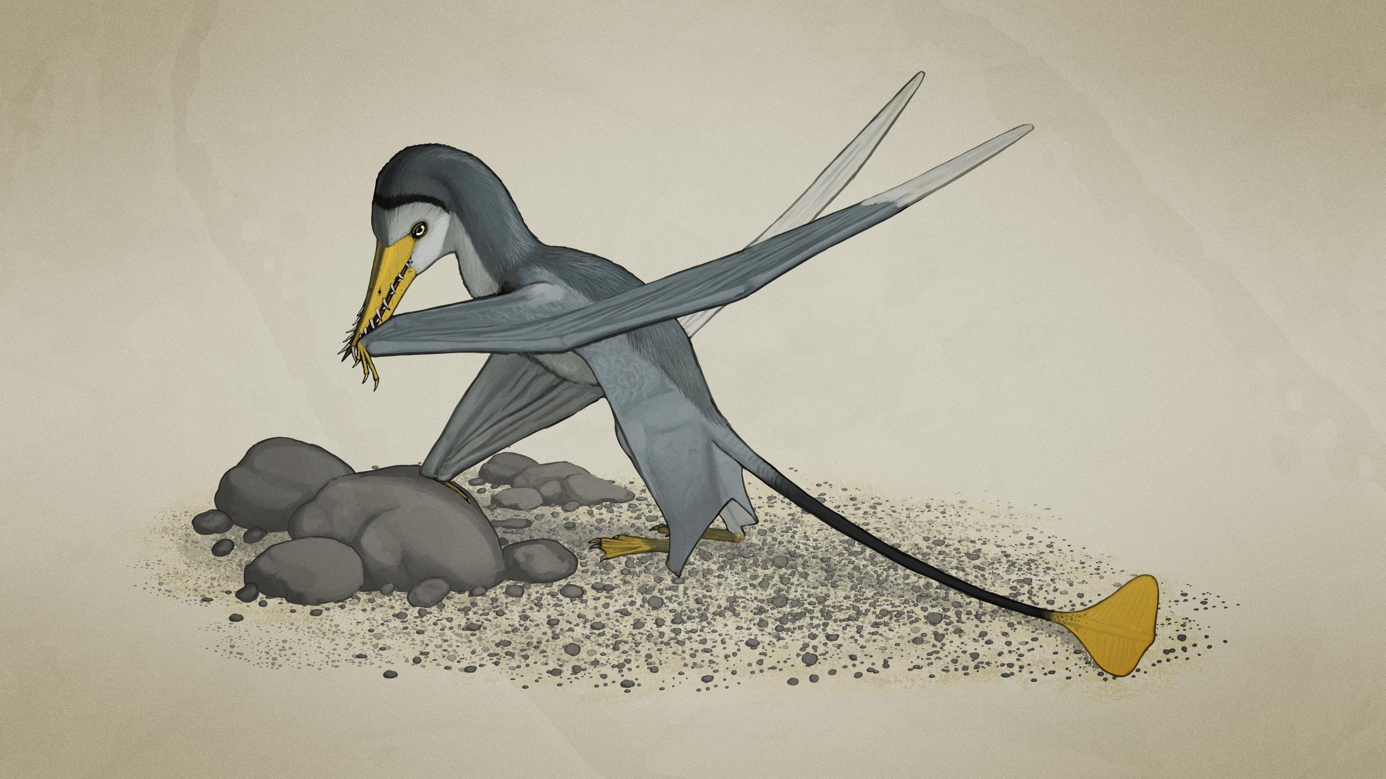 pterosaur-4