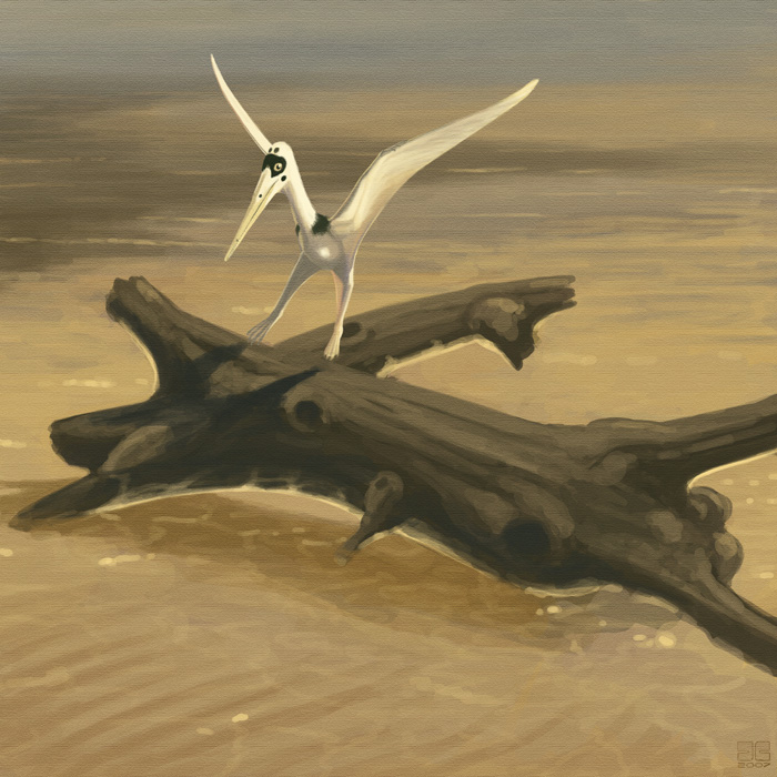 pterosaur-7