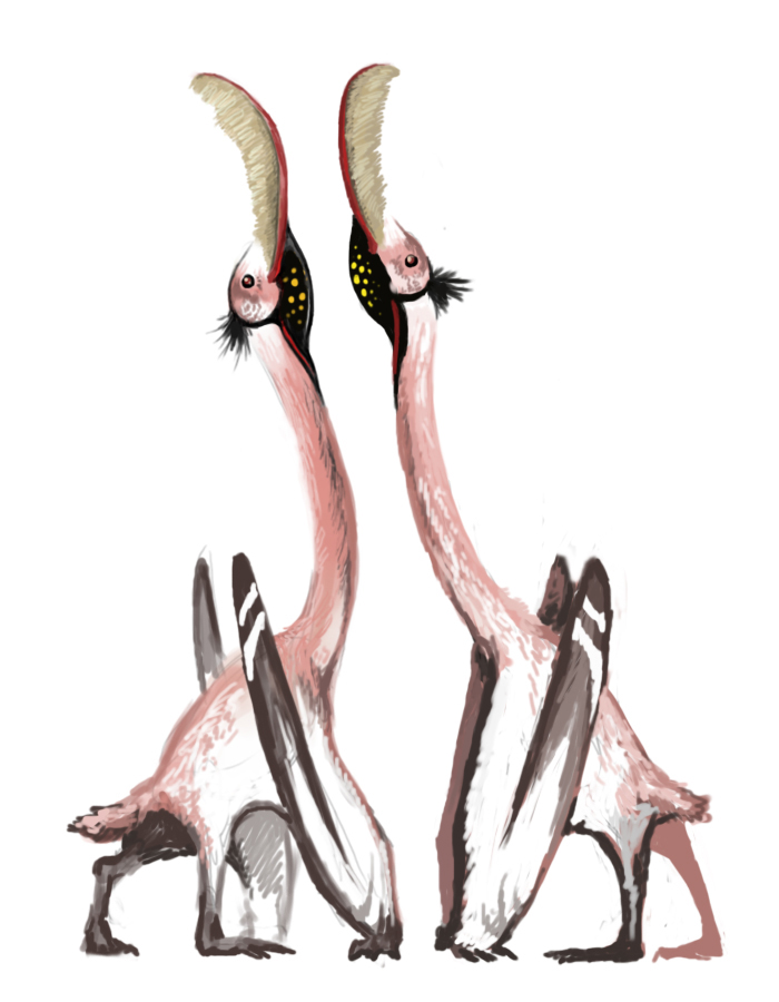 pterosaur-8