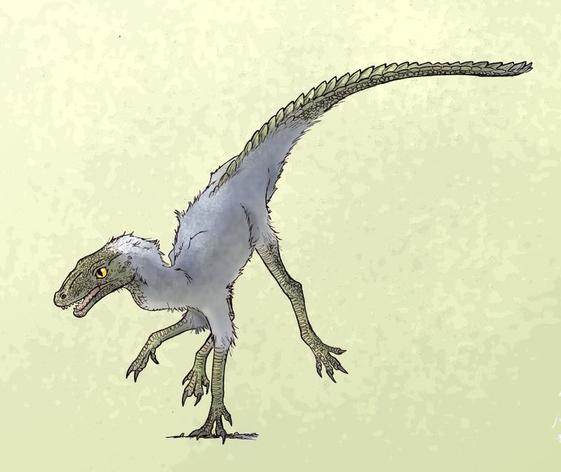 terrestrisuchus