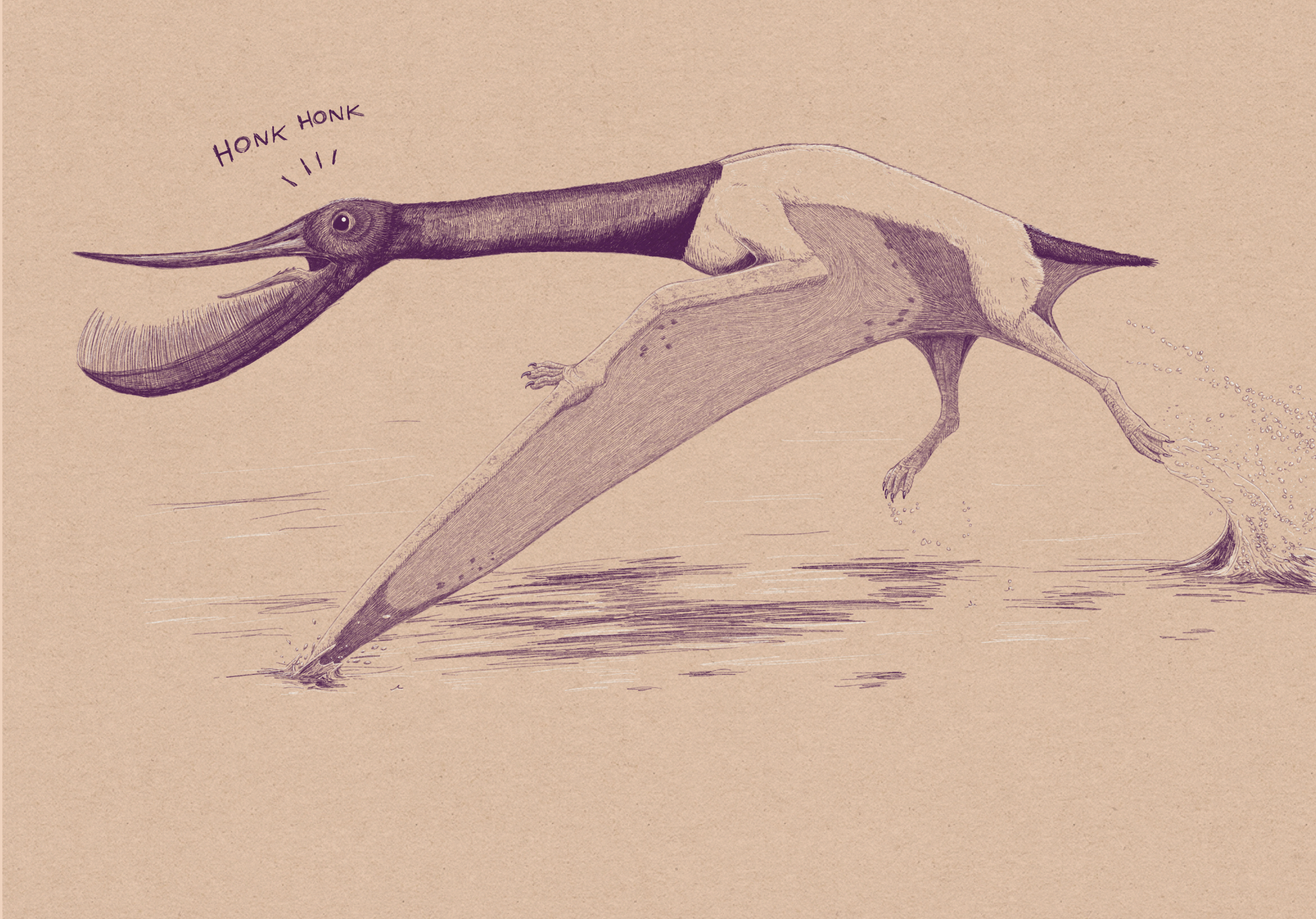Prehistoric Beast Profile #2: Pterodaustro and other alternative pterosaurs