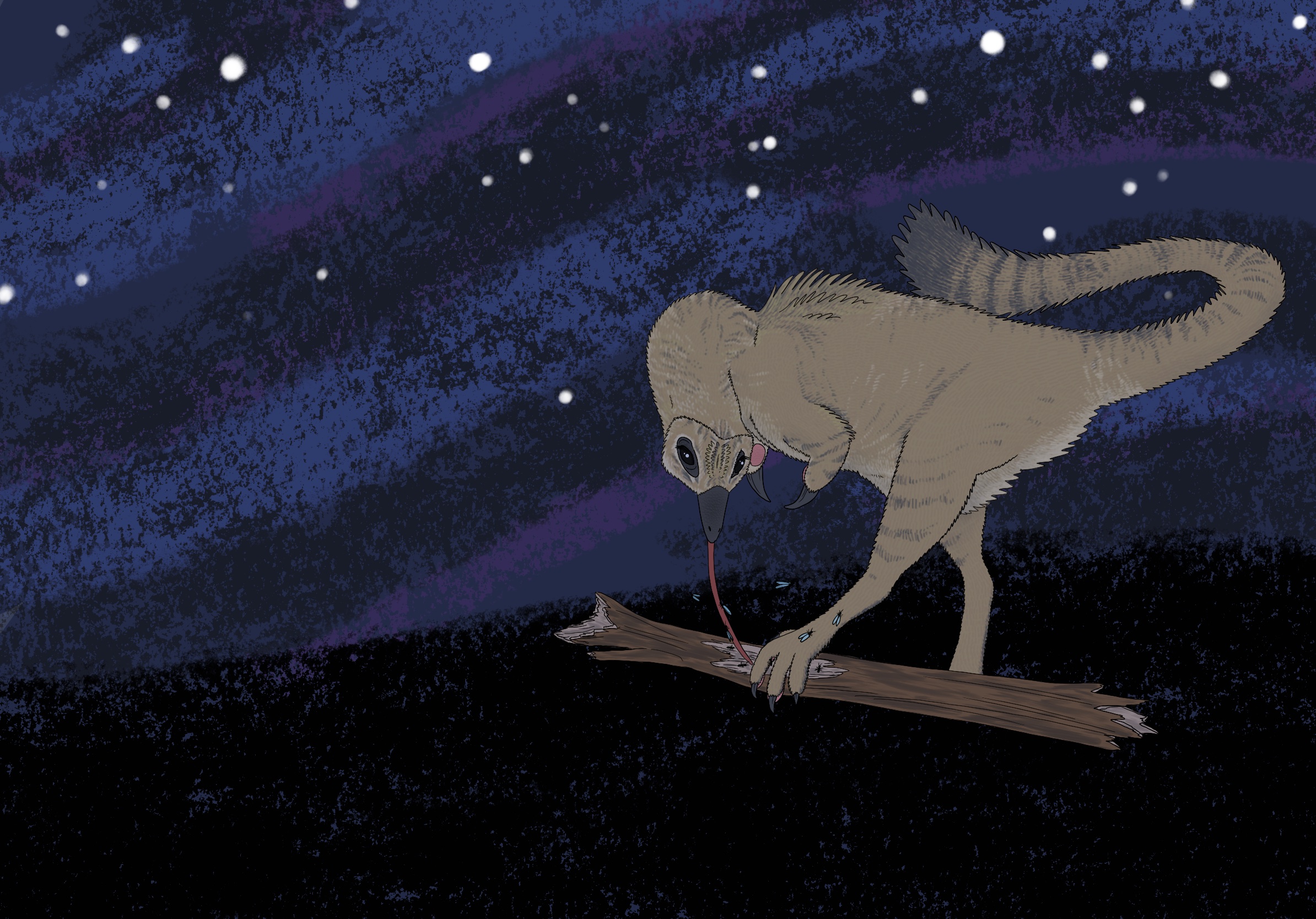 Obscure Dinosaur Profile #9: Shuvuuia