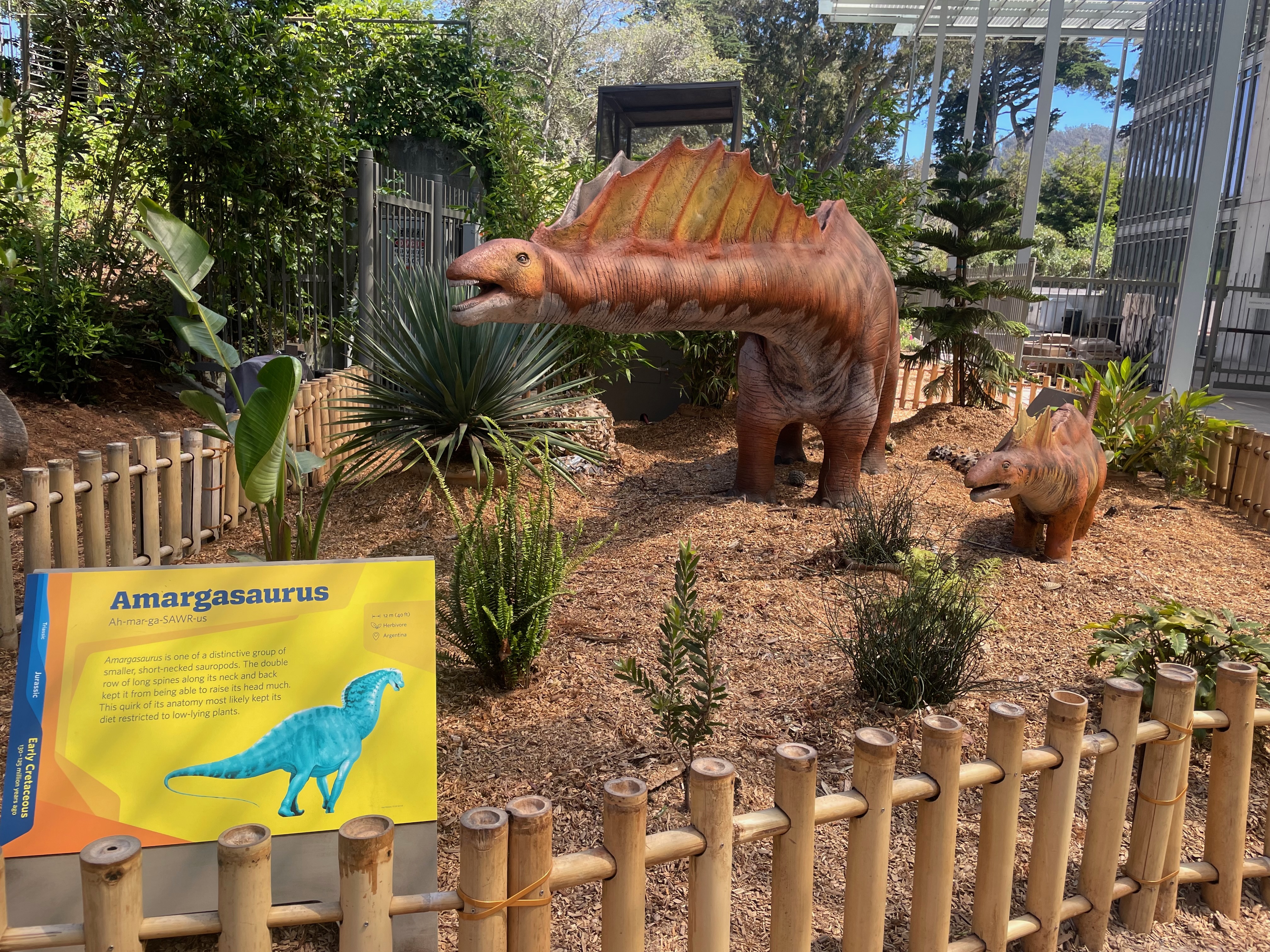 amargasaurus