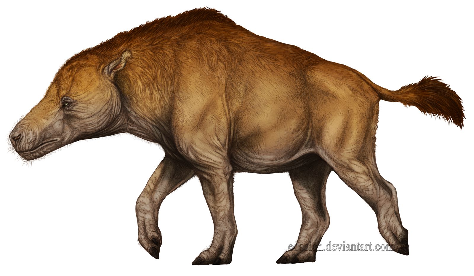 andrewsarchus