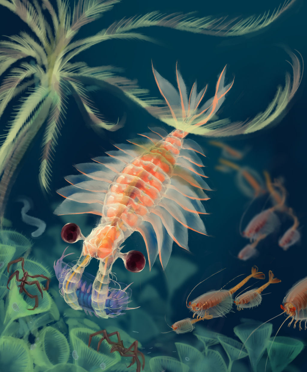 anomalocaris