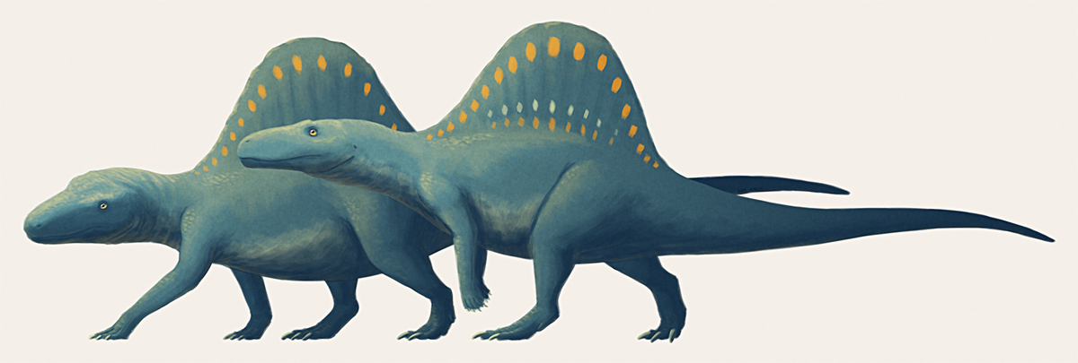 arizonasaurus