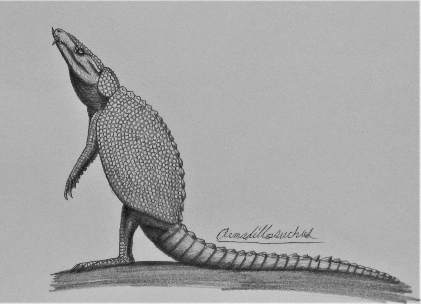 armadillosuchus