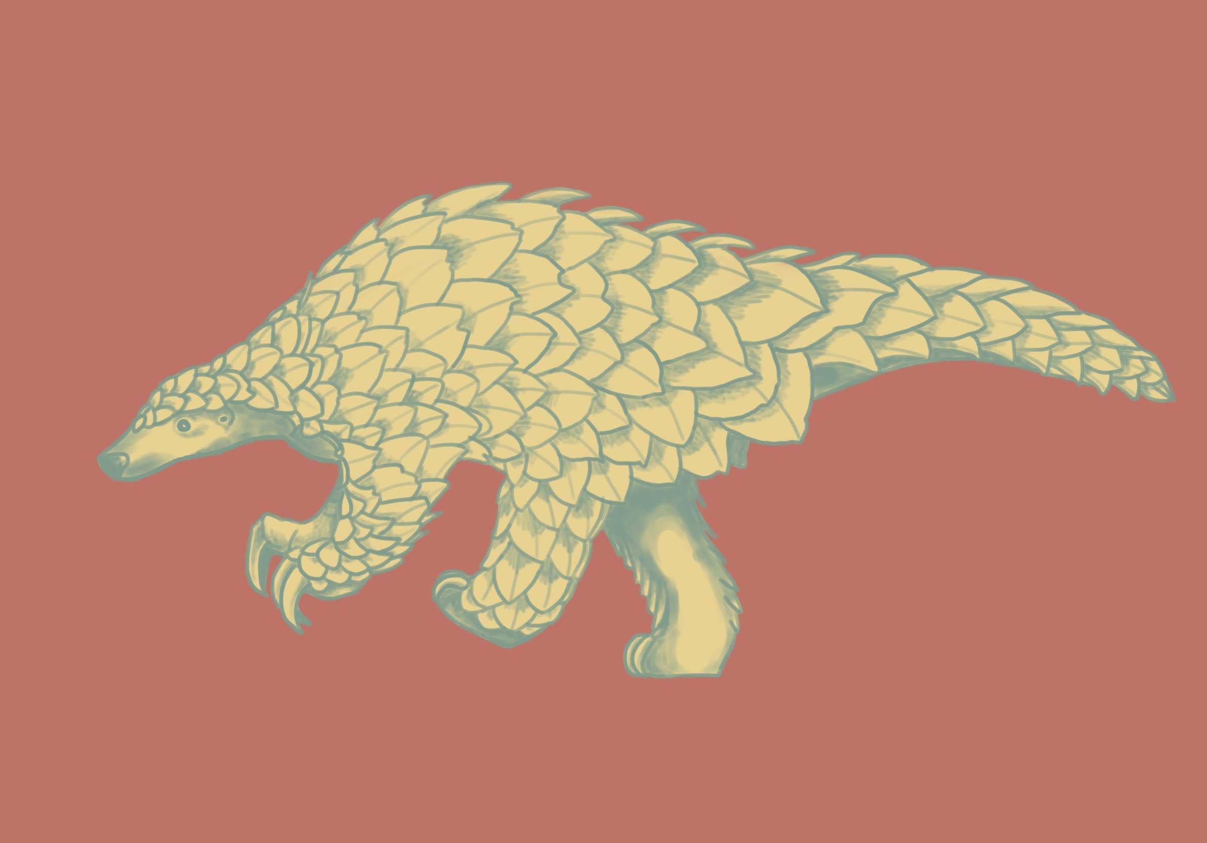 Pangolin