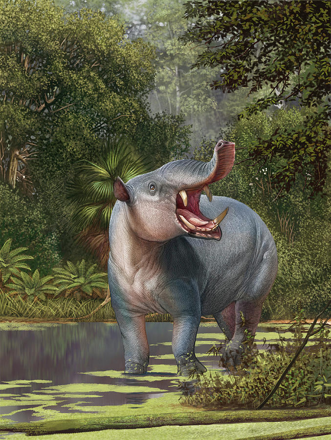 astrapotherium