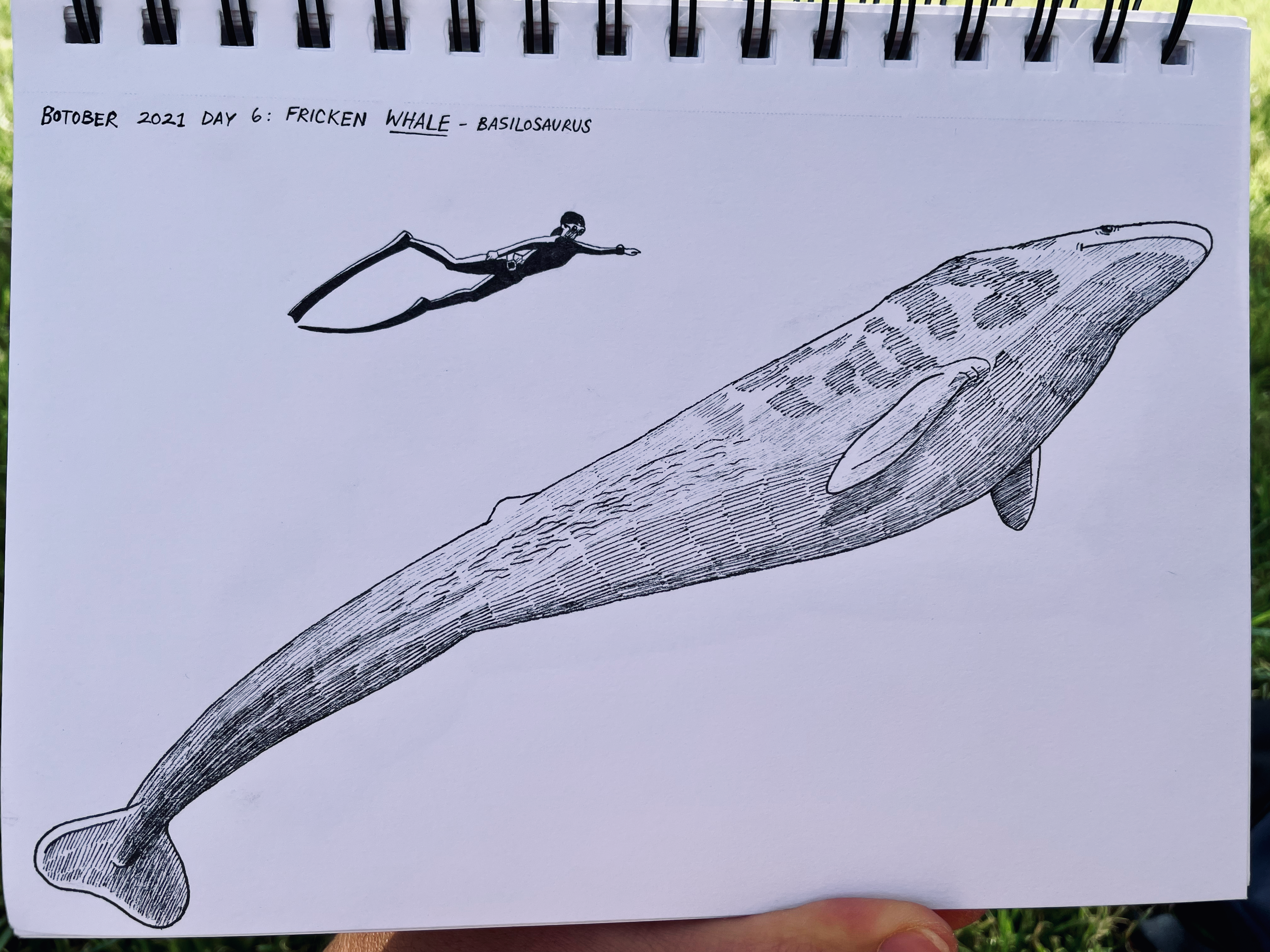 basilosaurus