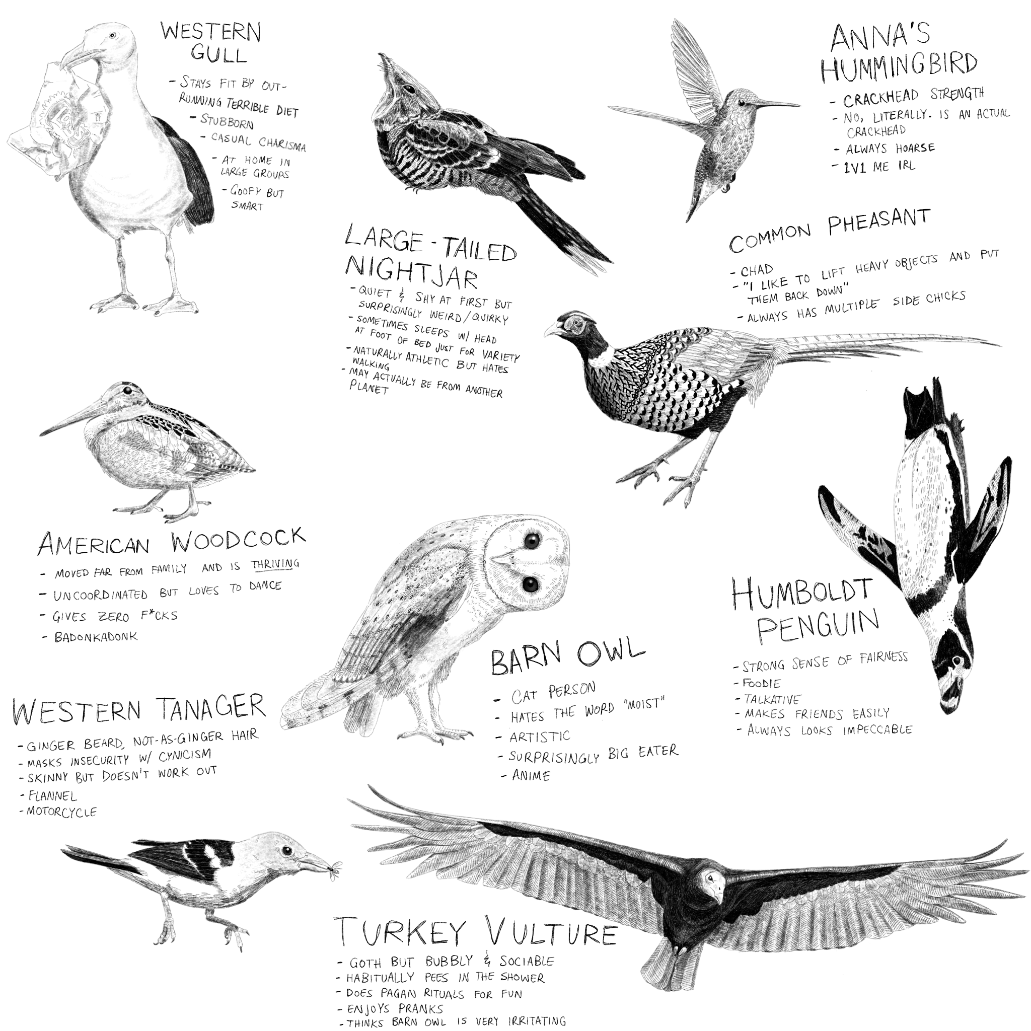 How Birds Eat (Part 1)