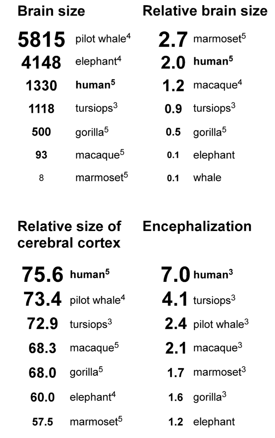 brain metrics