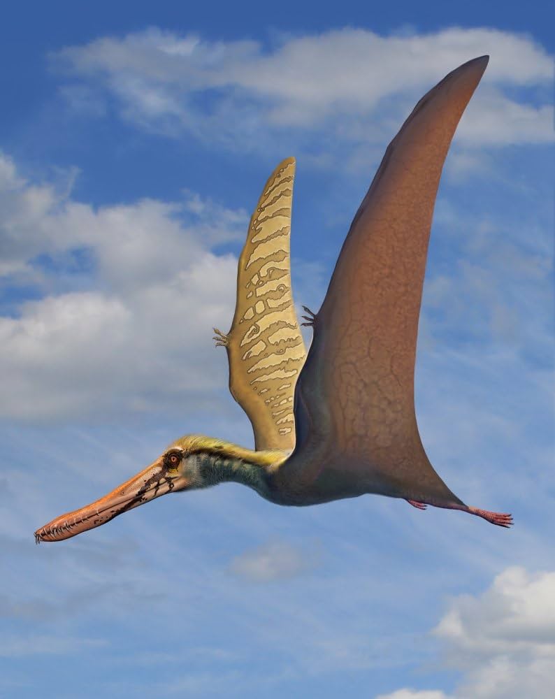 cearadactylus