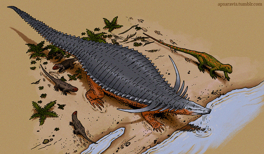 desmatosuchus