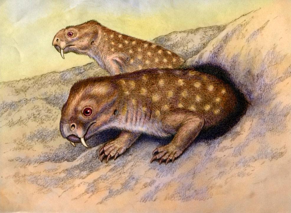 diictodon