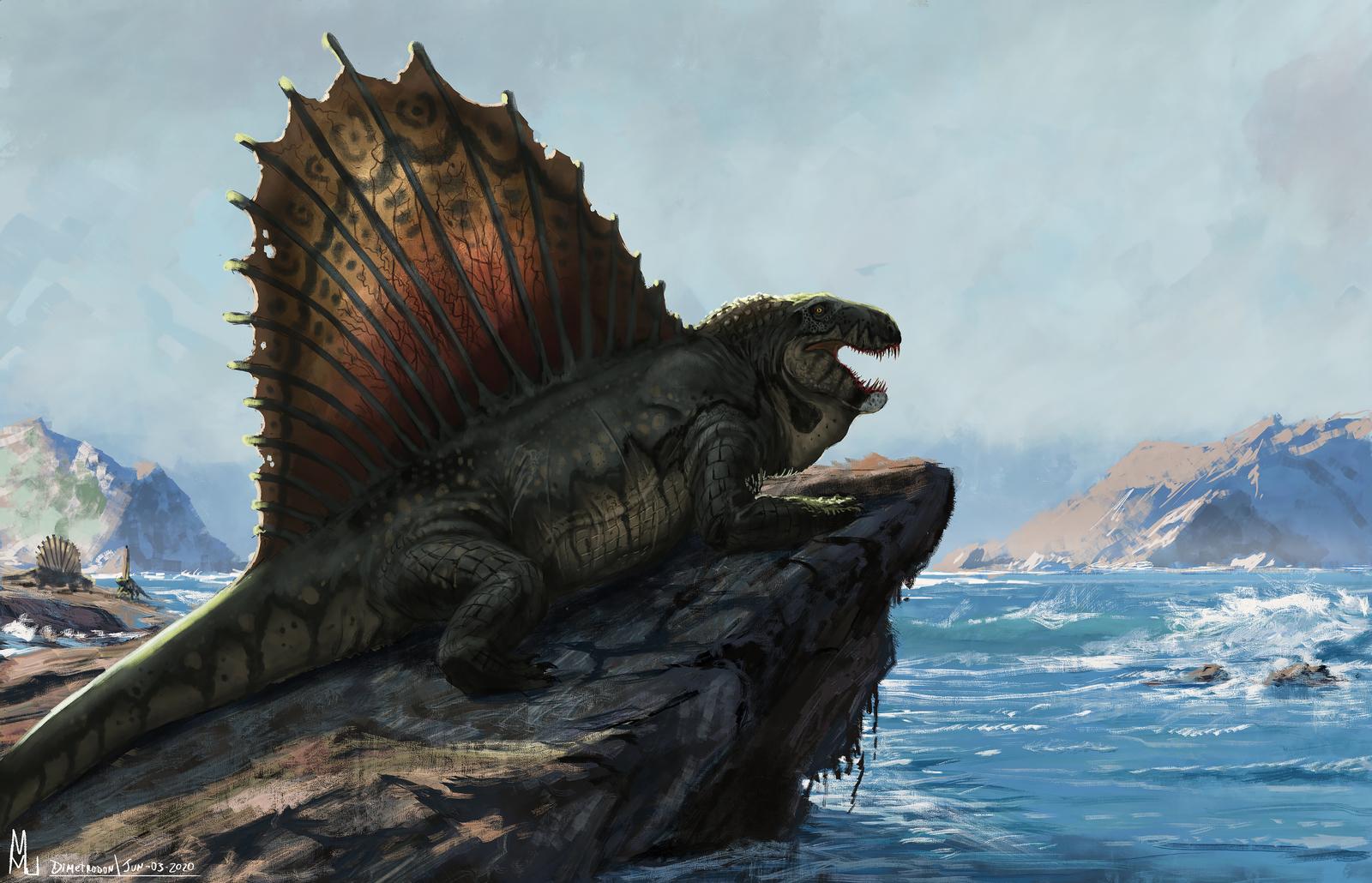 dimetrodon2