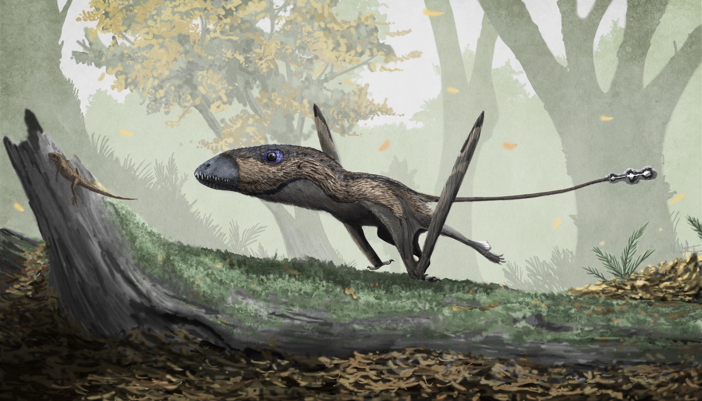 dimorphodon