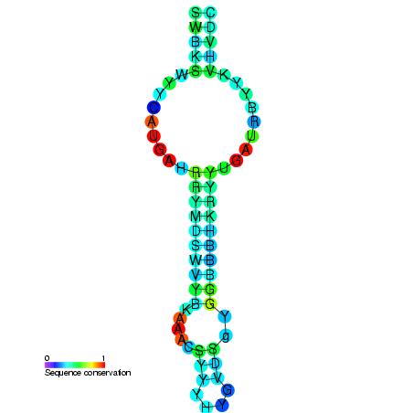 secis element