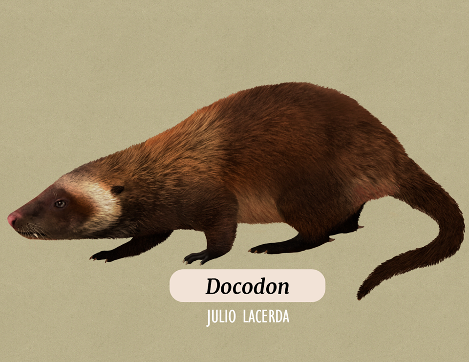 docodon