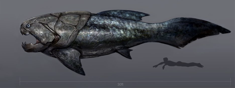 dunkleosteus