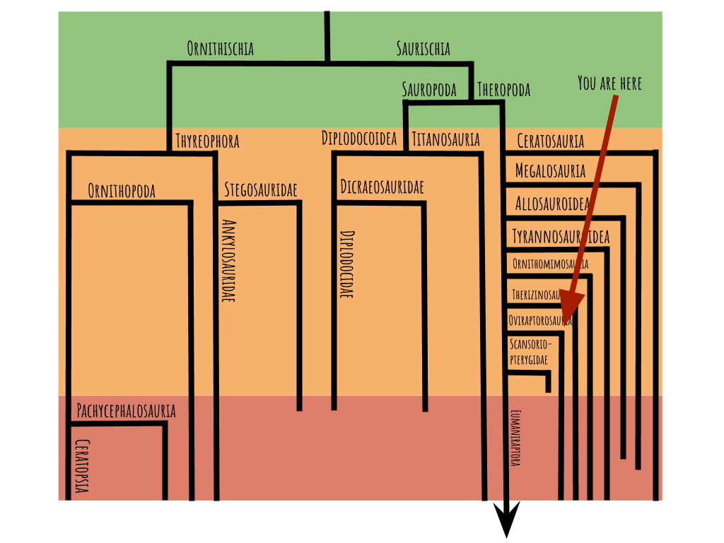 fig-1.13