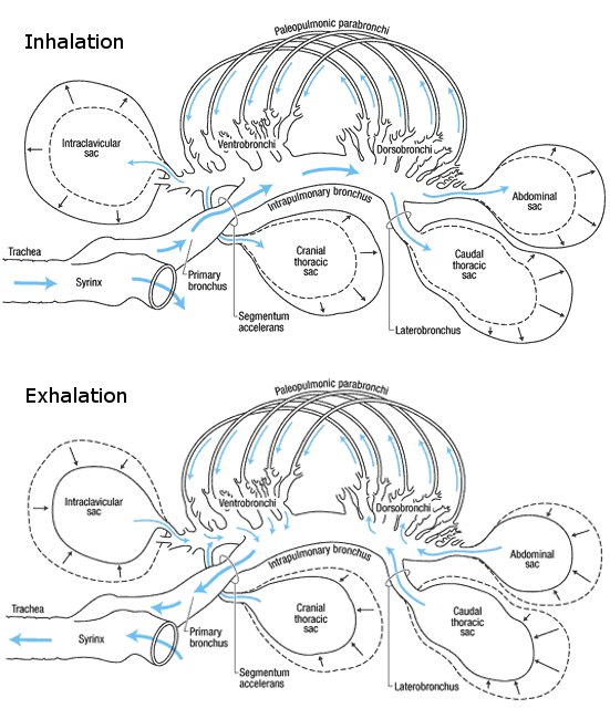 fig-2.5