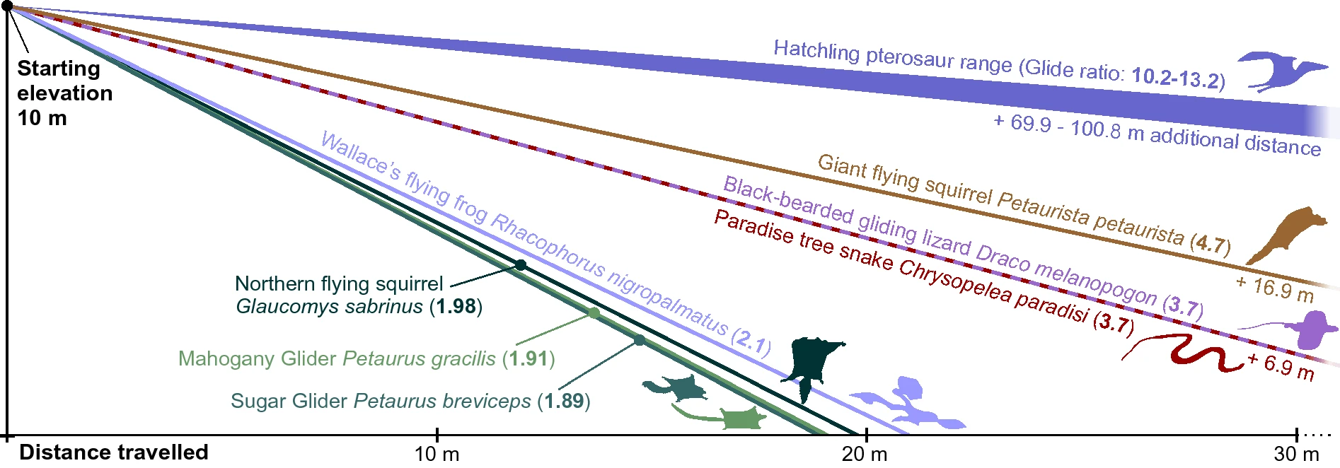 Glide ratios