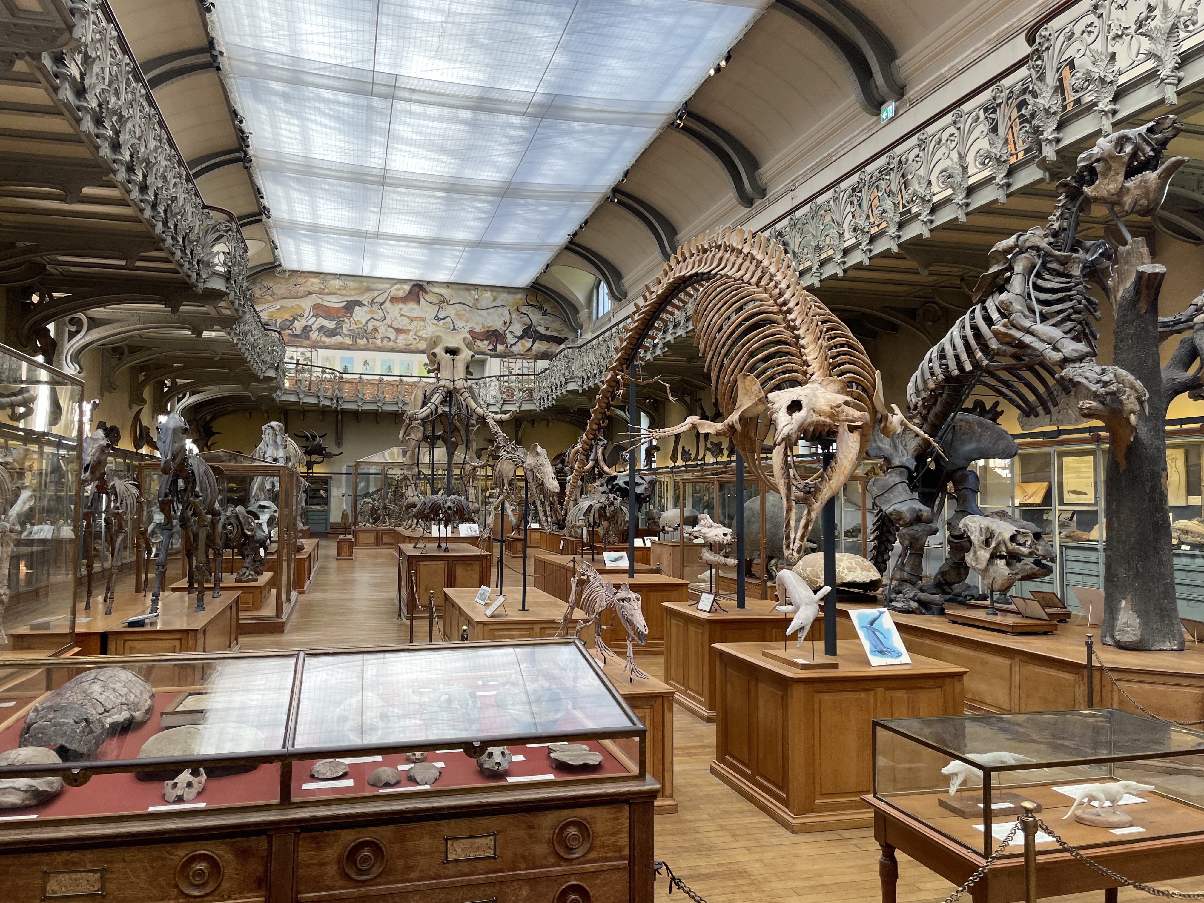 fossil-hall2