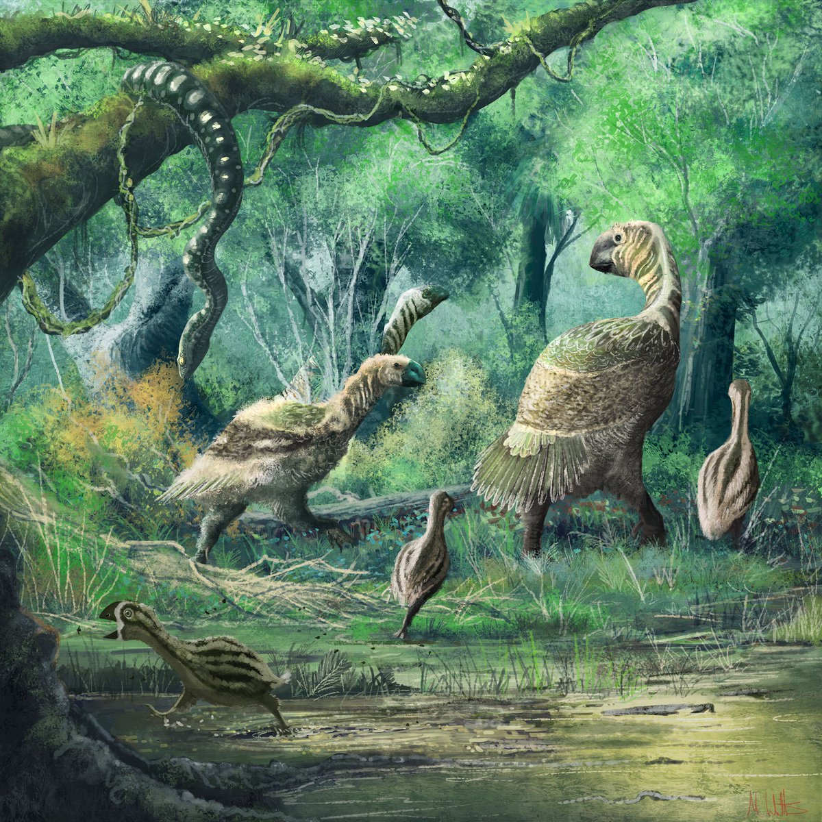 Gastornis