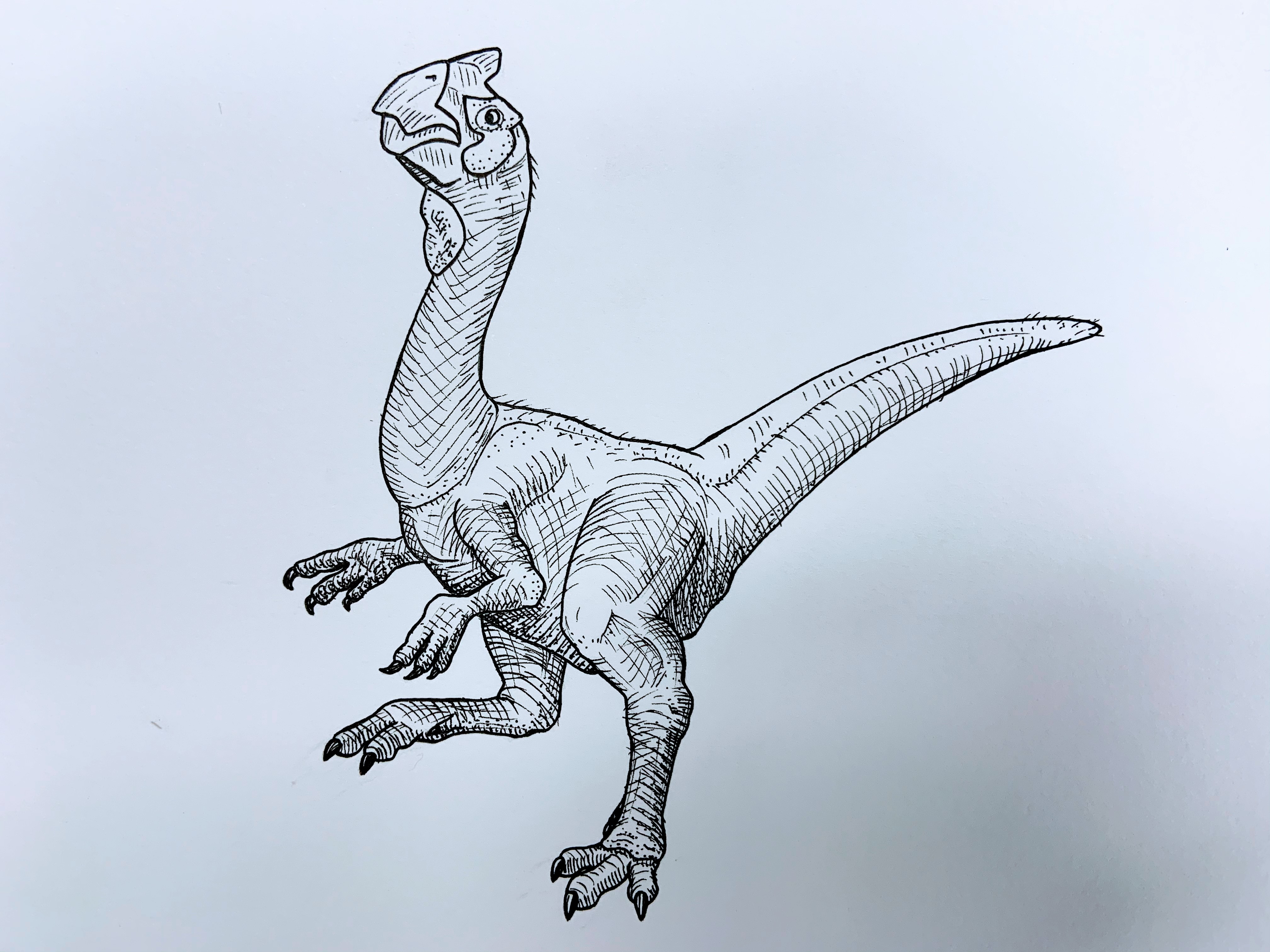 gigantoraptor