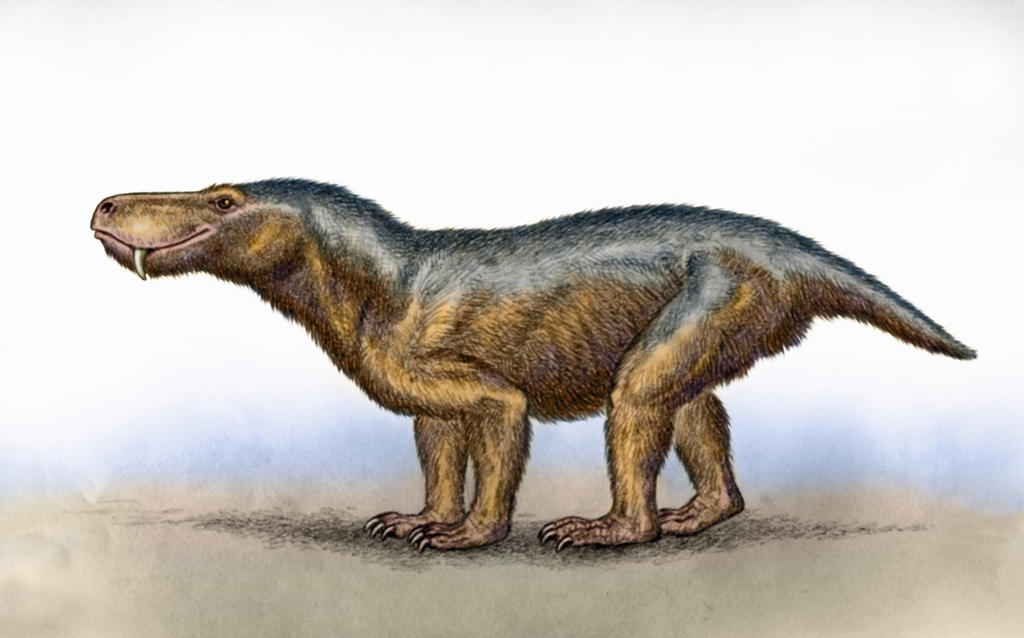 glanosuchus