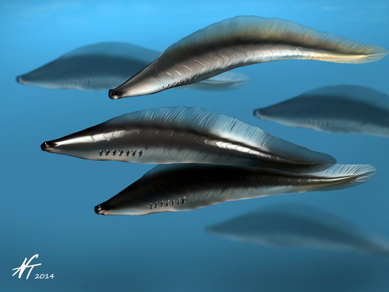 haikouichthys