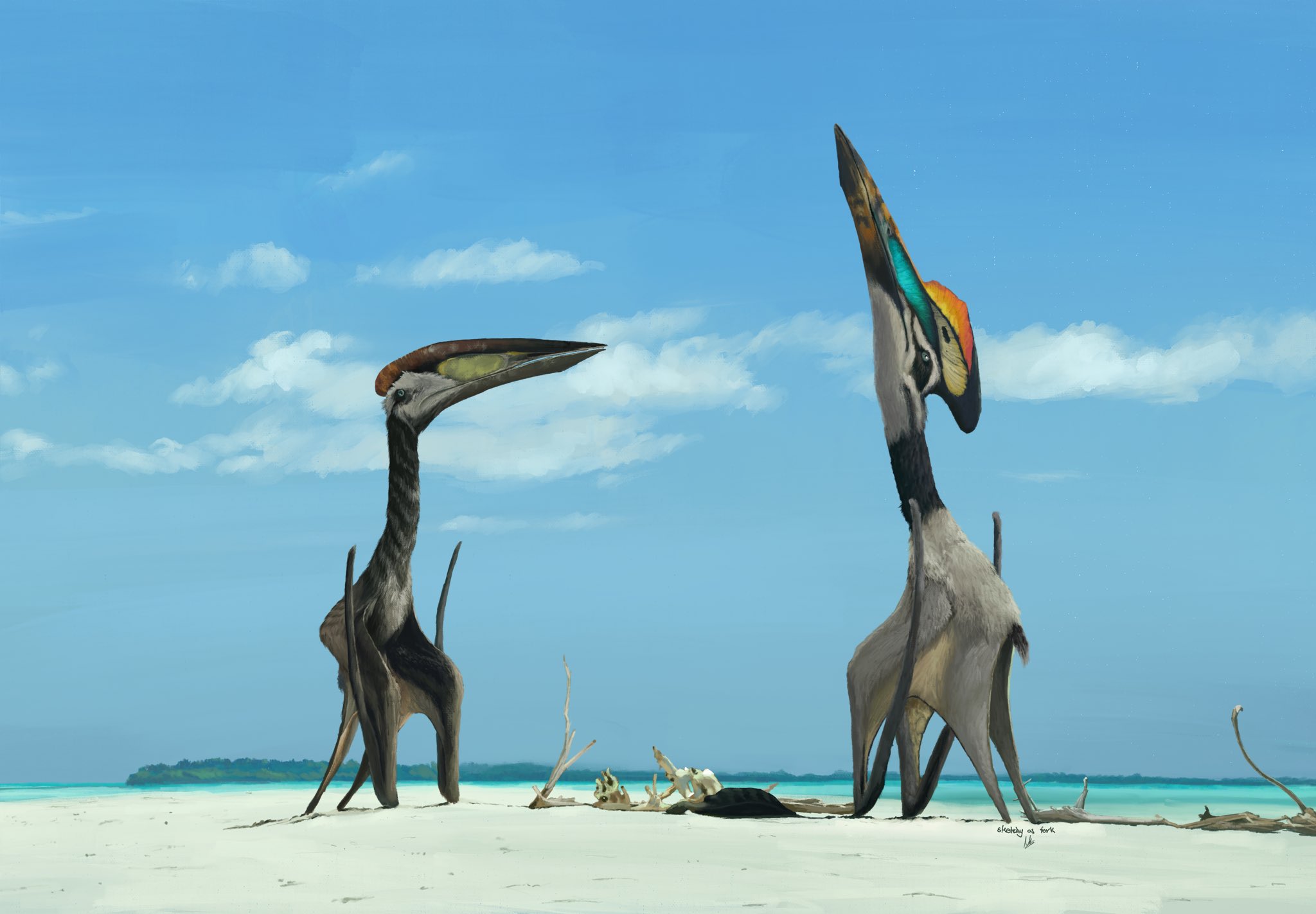 Hatzegopteryx mating dance