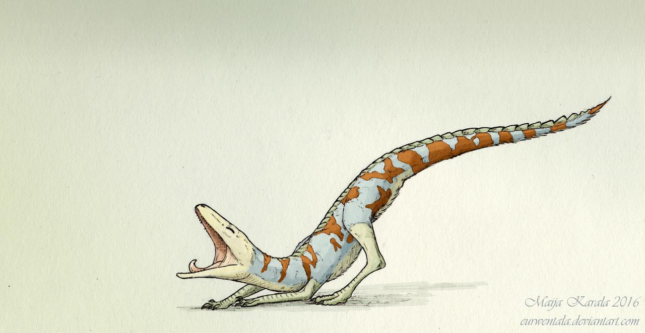 hesperosuchus