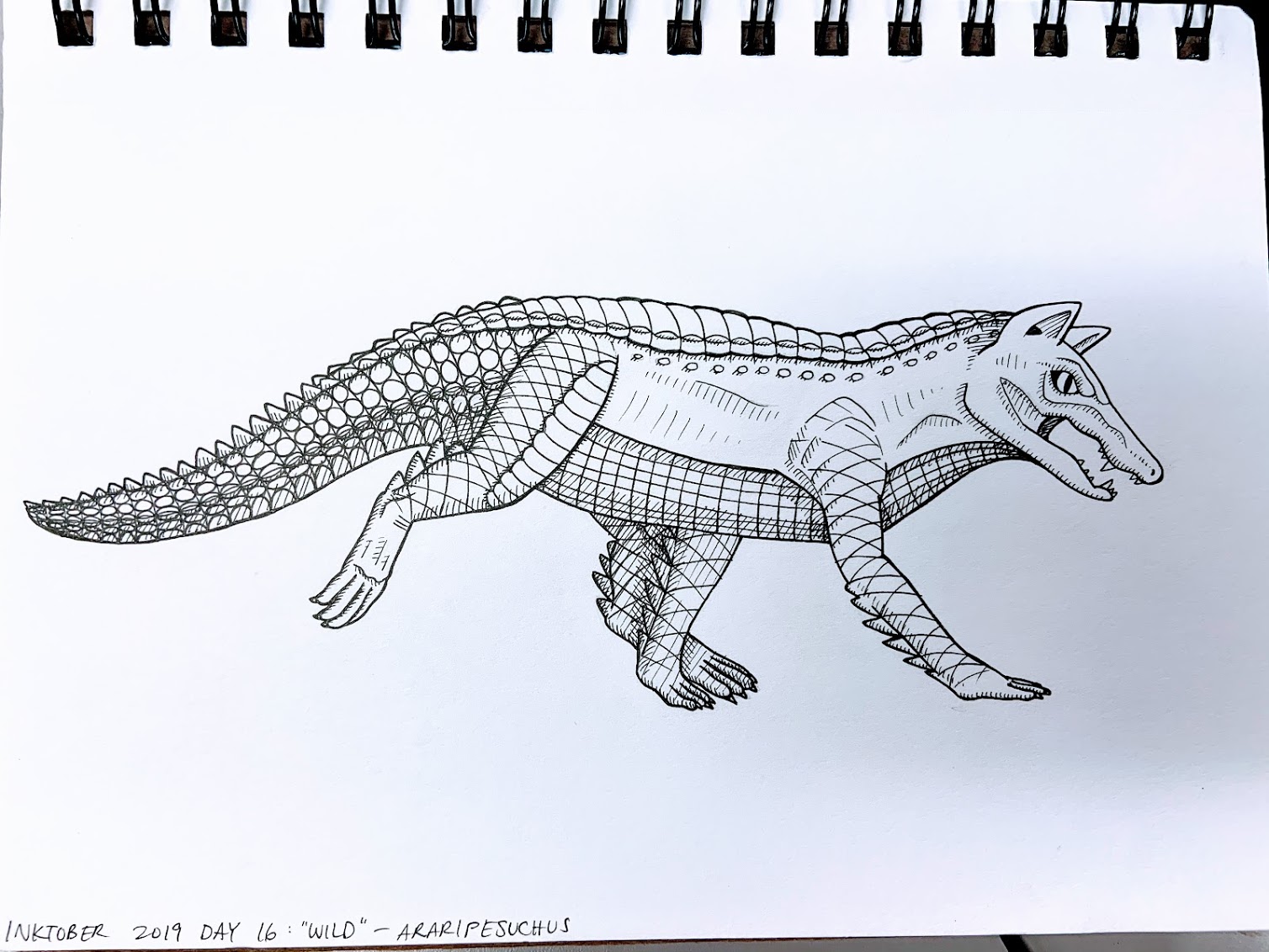 araripesuchus