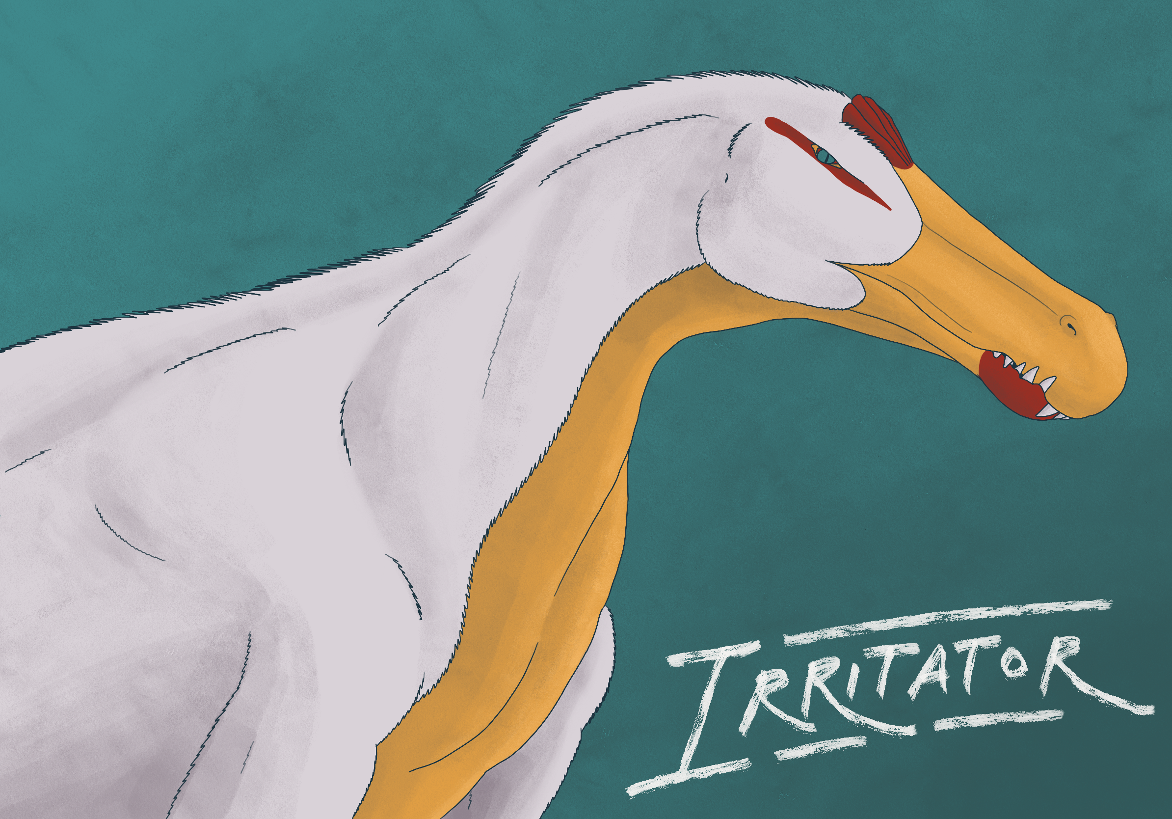 irritator