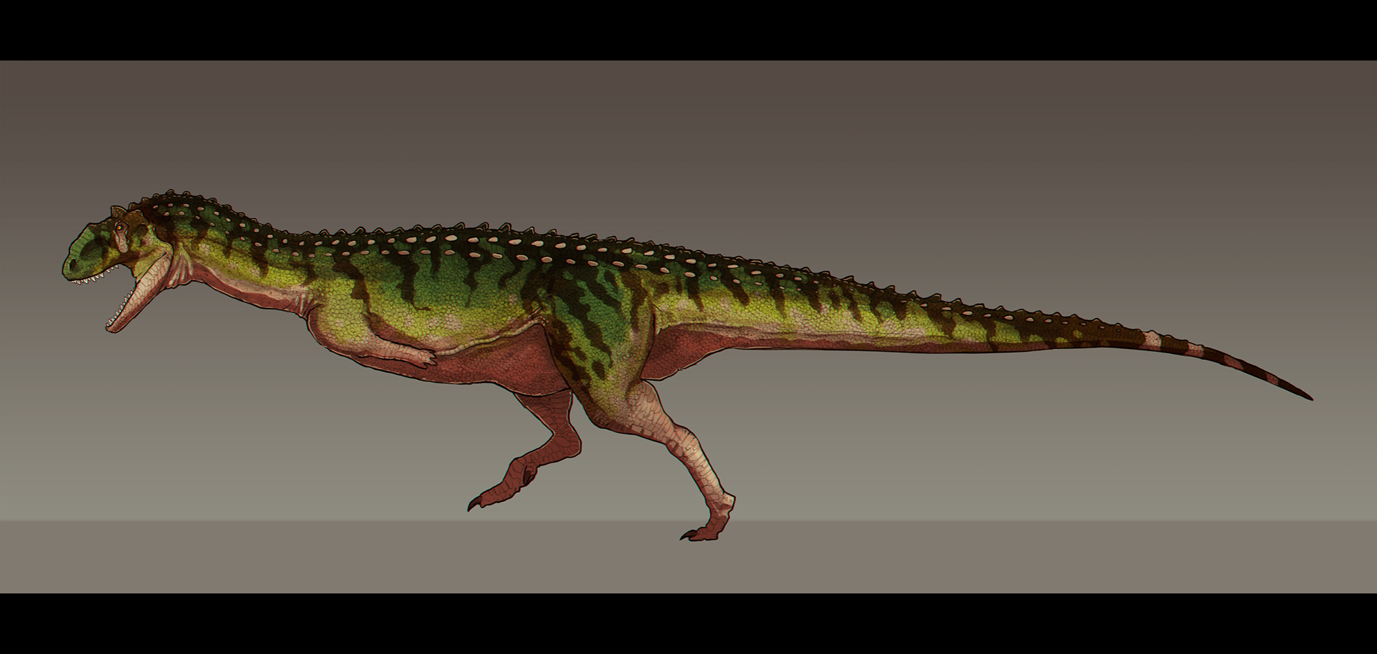 majungasaurus size