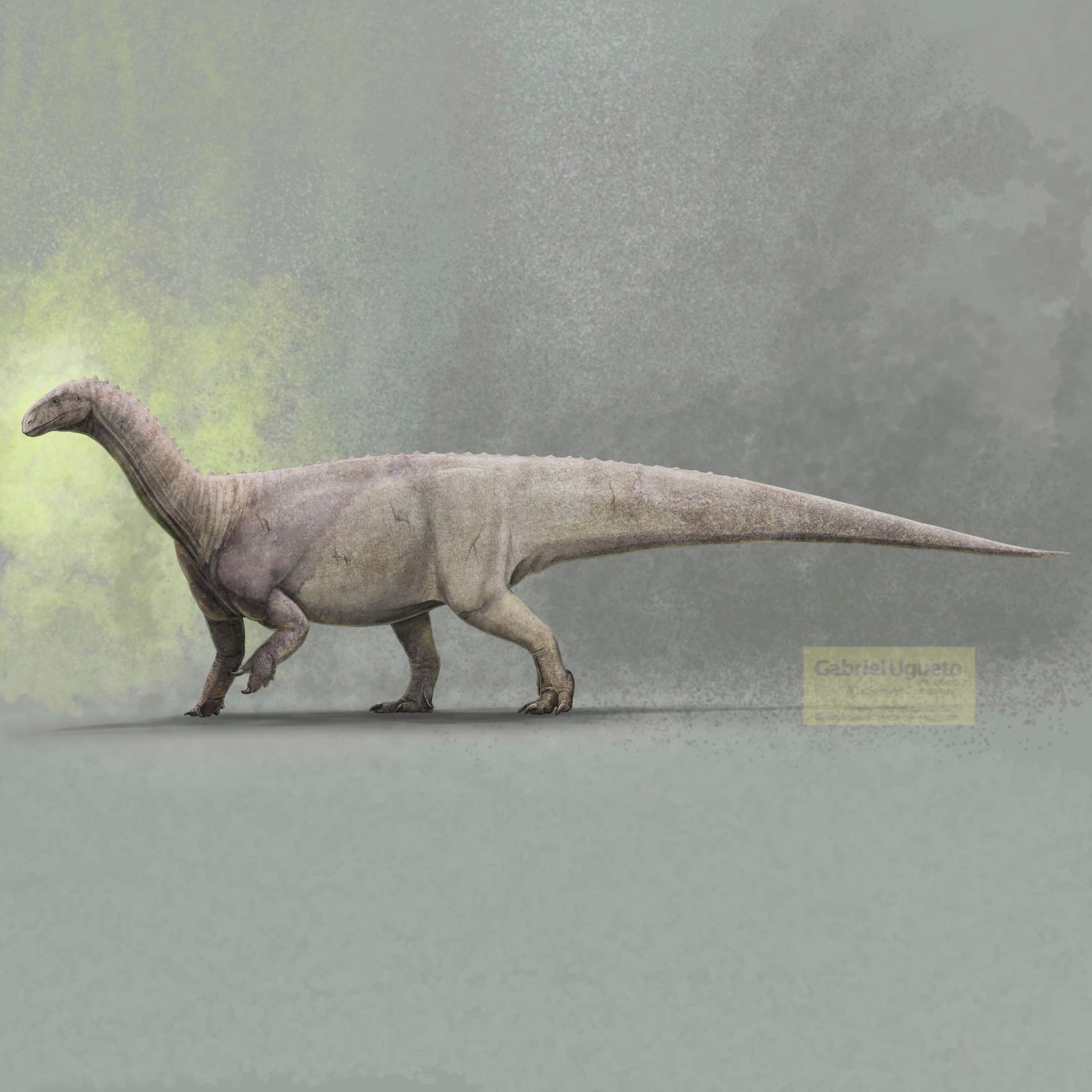 melanorosaurus