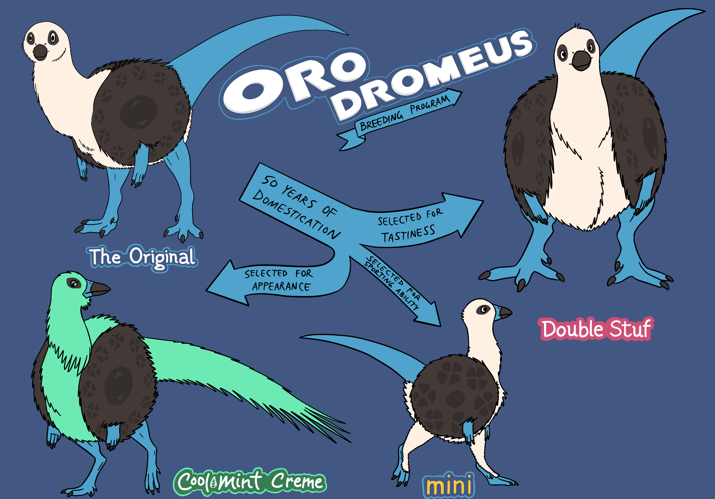 orodromeus-variants