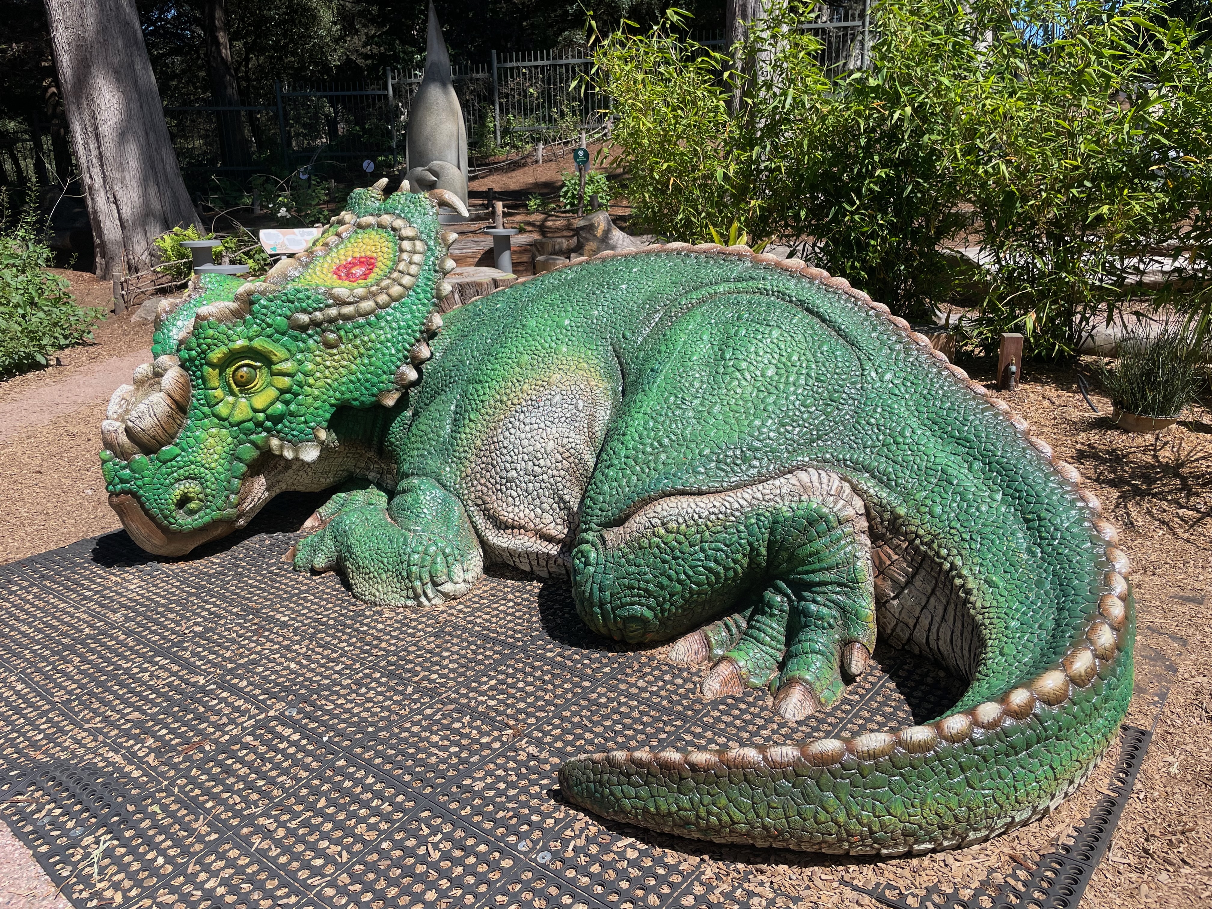 pachyrhinosaurus