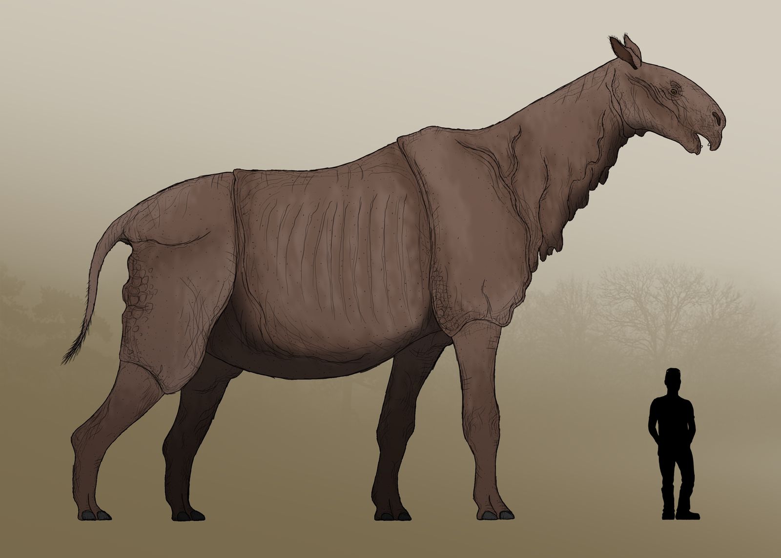 paraceratherium