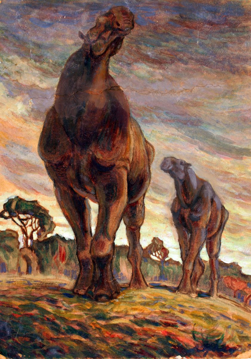 paraceratherium