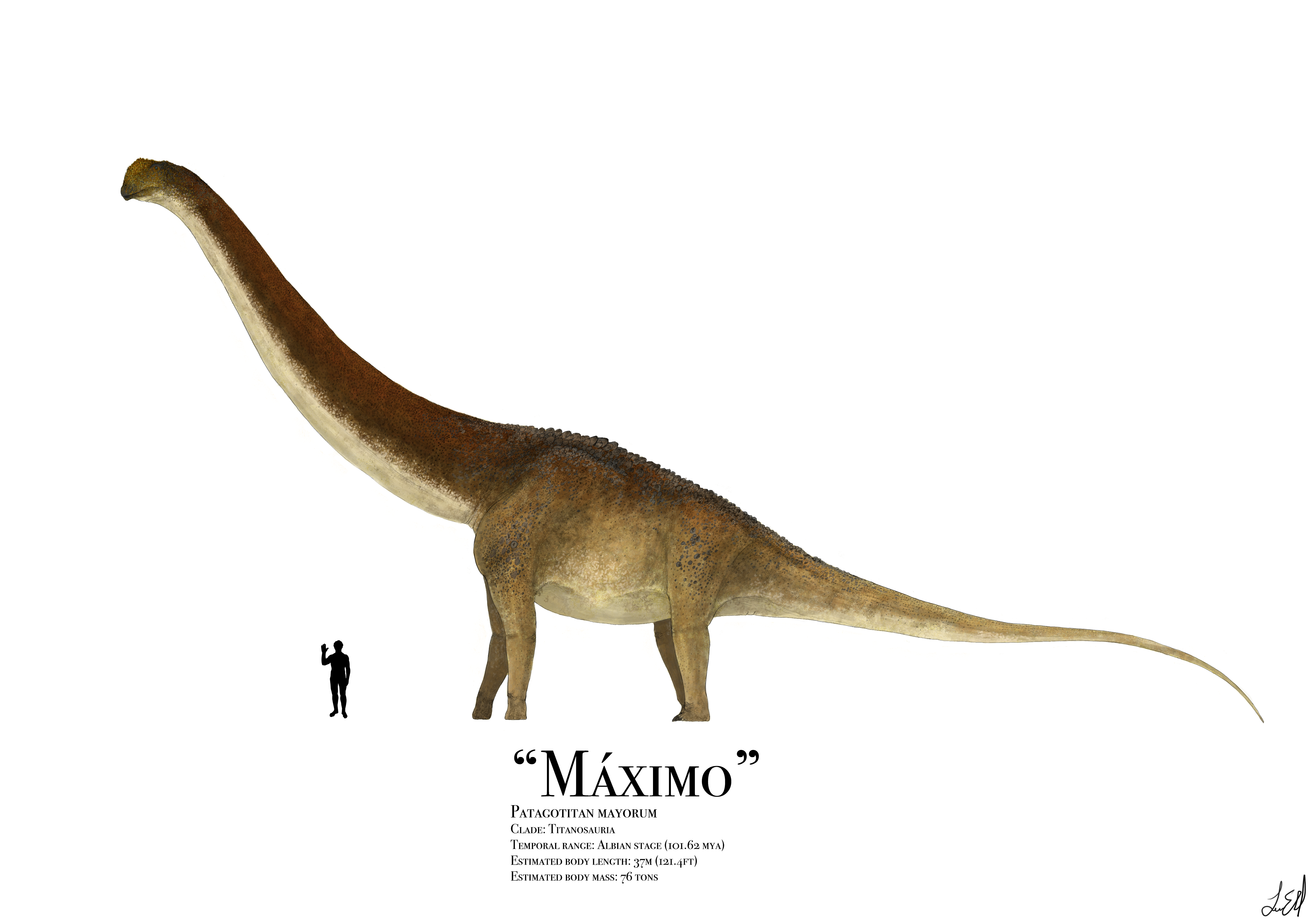 patagotitan