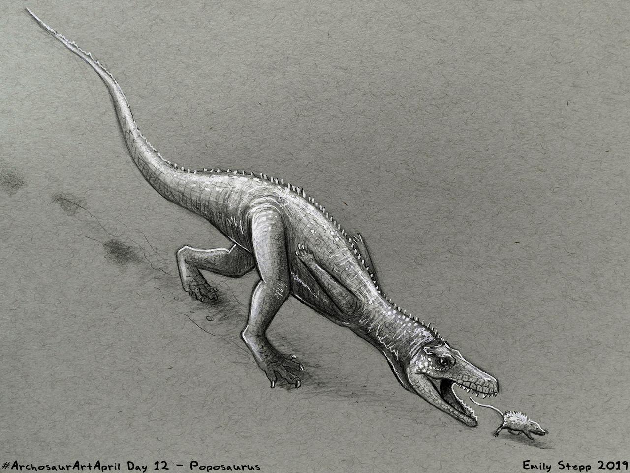 poposaurus