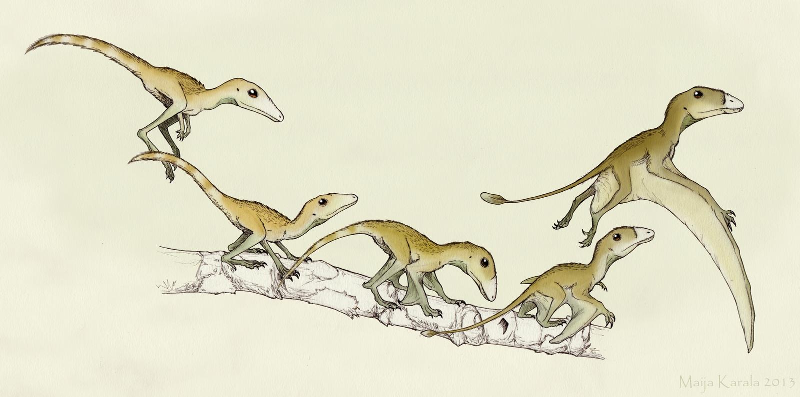 pterosaur-1