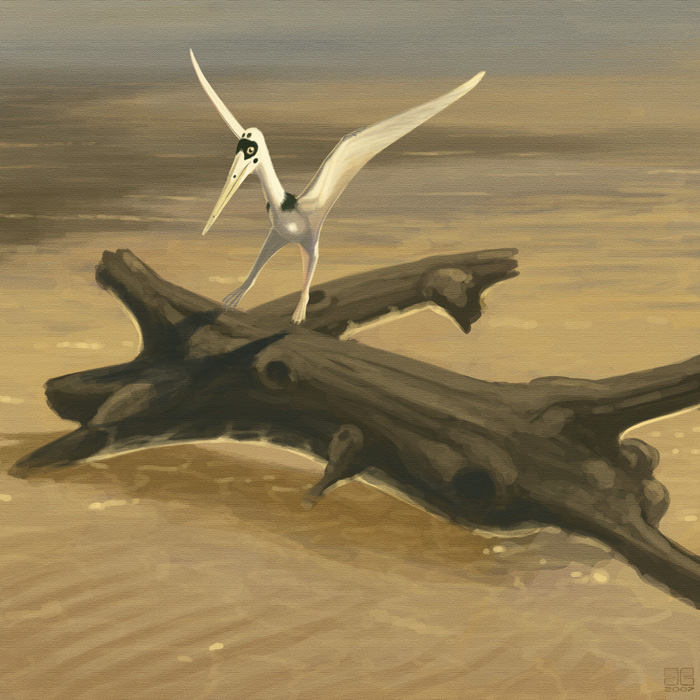 The Glorious Twilight of Pterosaurs